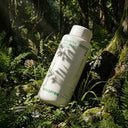 Innisfree 綠茶透明質酸保濕乳液 [170ml]