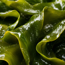 Biodance Refreshing Sea Kelp Real Deep Mask Green Ingredients