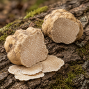 d'Alba White Truffle First Spray Serum Yellow Ingredients